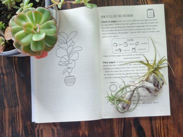 open houseplant journal